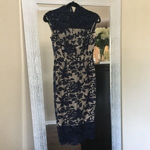 Antonio Melani | navy blue & cream dress